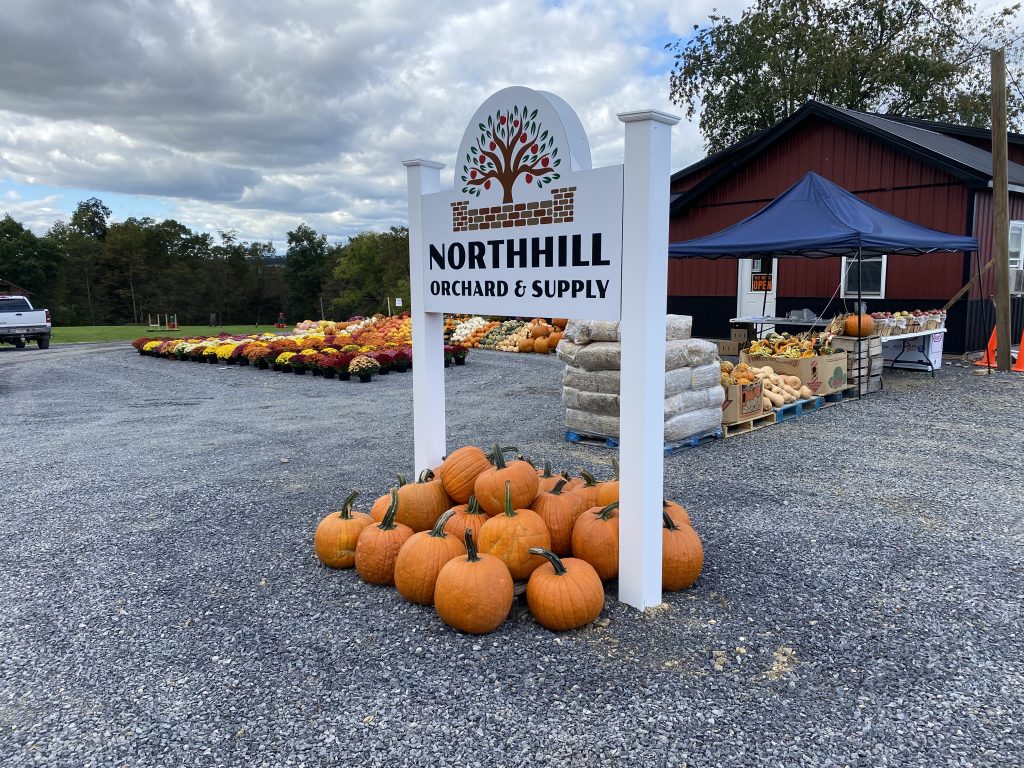Pumpkins for sale at the farm market